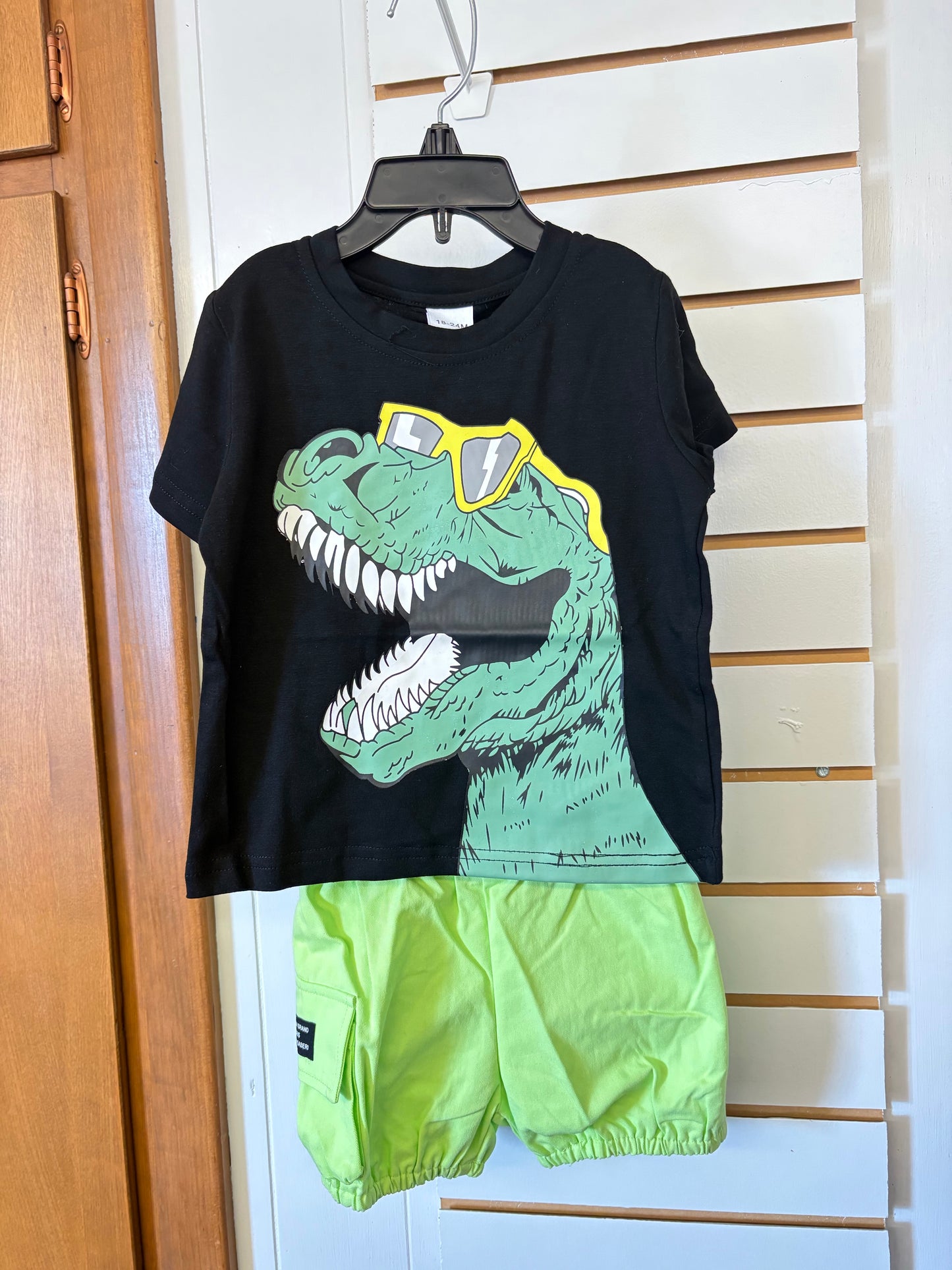 Black Dinosaur Shirt with Green Cargo Shorts