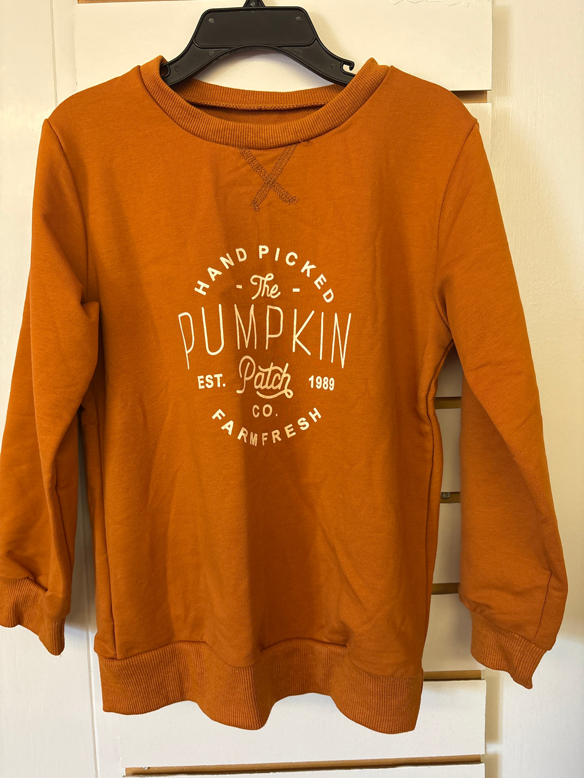 The Pumpkin Patch sweatshirt